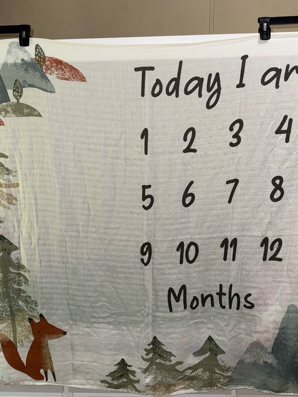 Modern Moments by Gerber Baby Boy Milestone Blanket Fox Forest Woods